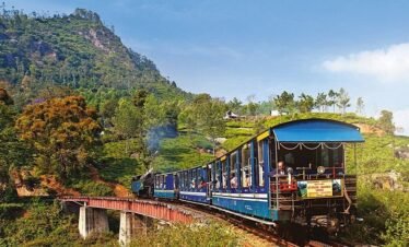 Darjeeling Discovery