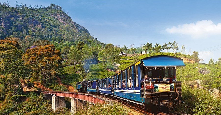 Darjeeling Discovery