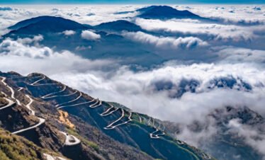 Misty Mornings & Mountain Magic