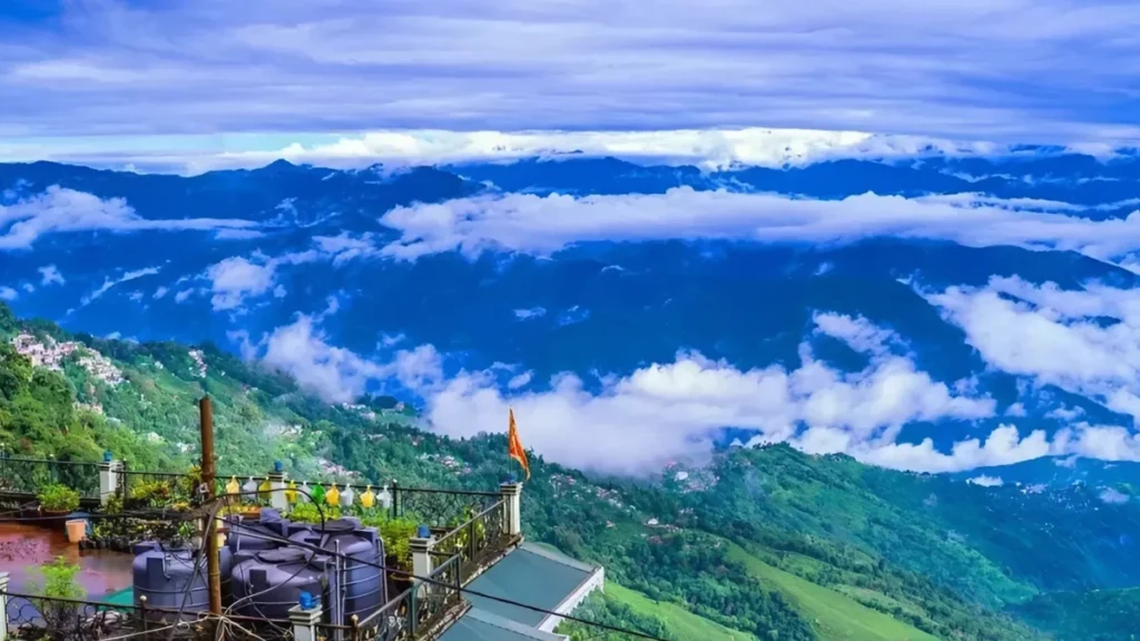 Darjeeling Discovery