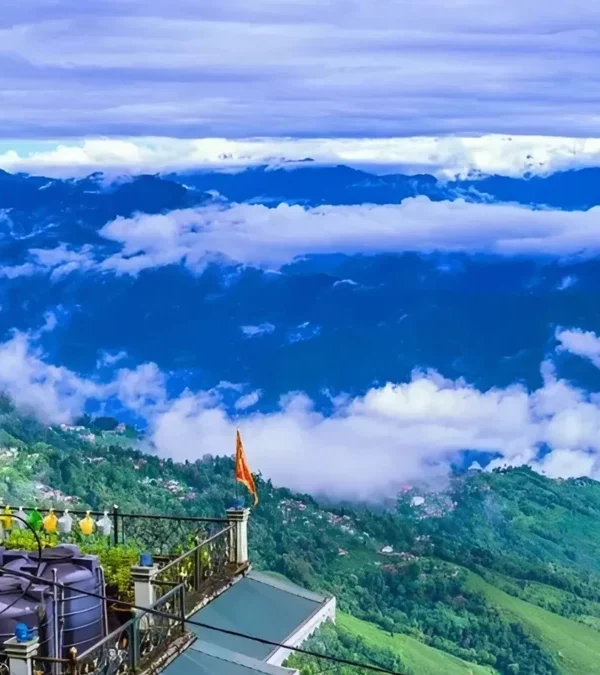 Darjeeling Discovery